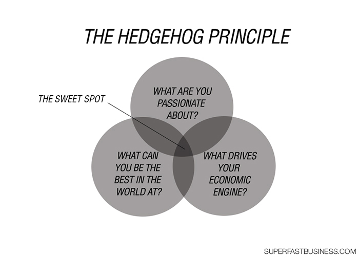 the-hedgehog-principle
