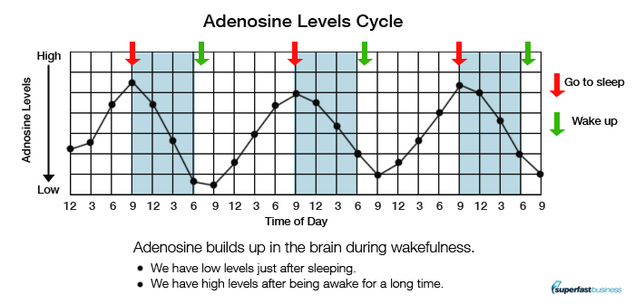 Adenosine Levels