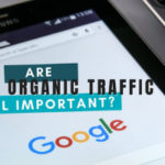 seo and organic traffic with James Schramko and Will Wang