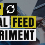social feed experiment with James Schramko